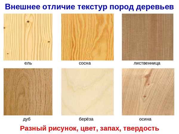 Мебель цвета бук: хаpaктеристики породы дерева, особенности создания мебели у хода за ней +Фото и Видео