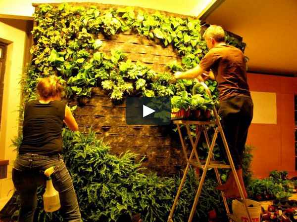 Вертикальное озеленение в интерьере своими руками в квартире и частном доме: Пошаговая инструкция +Видео и Фото
